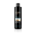 Avon Advance Techniques ABSOLUTE NOURISHMENT Conditioner met Argan- en Kokosolie 250 ml